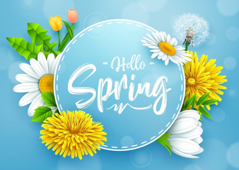 Read more about the article Hello Spring